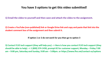2.04 Video Assignment - Need Help with an Assignment? Click on the ...